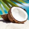 ff-coconut