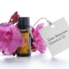 Rose Geranium Essential Oil *