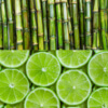 Lime & Sugarcane Fragrance Oil