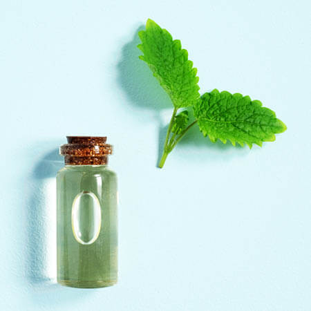 Peppermint Essential Oil *