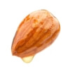 Sweet Almond Oil - 100% Pure